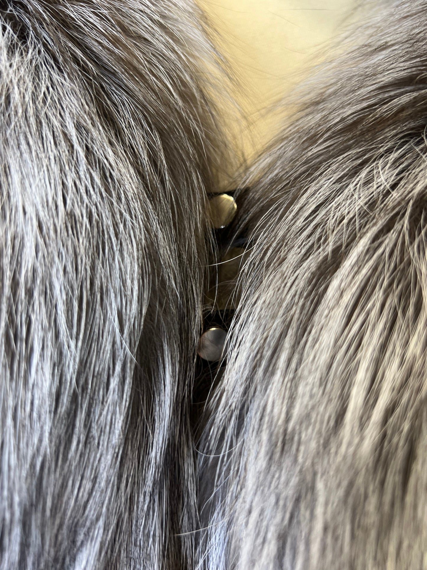 Silver Fox Fully Lined Hood Rabbit Insulated Parka