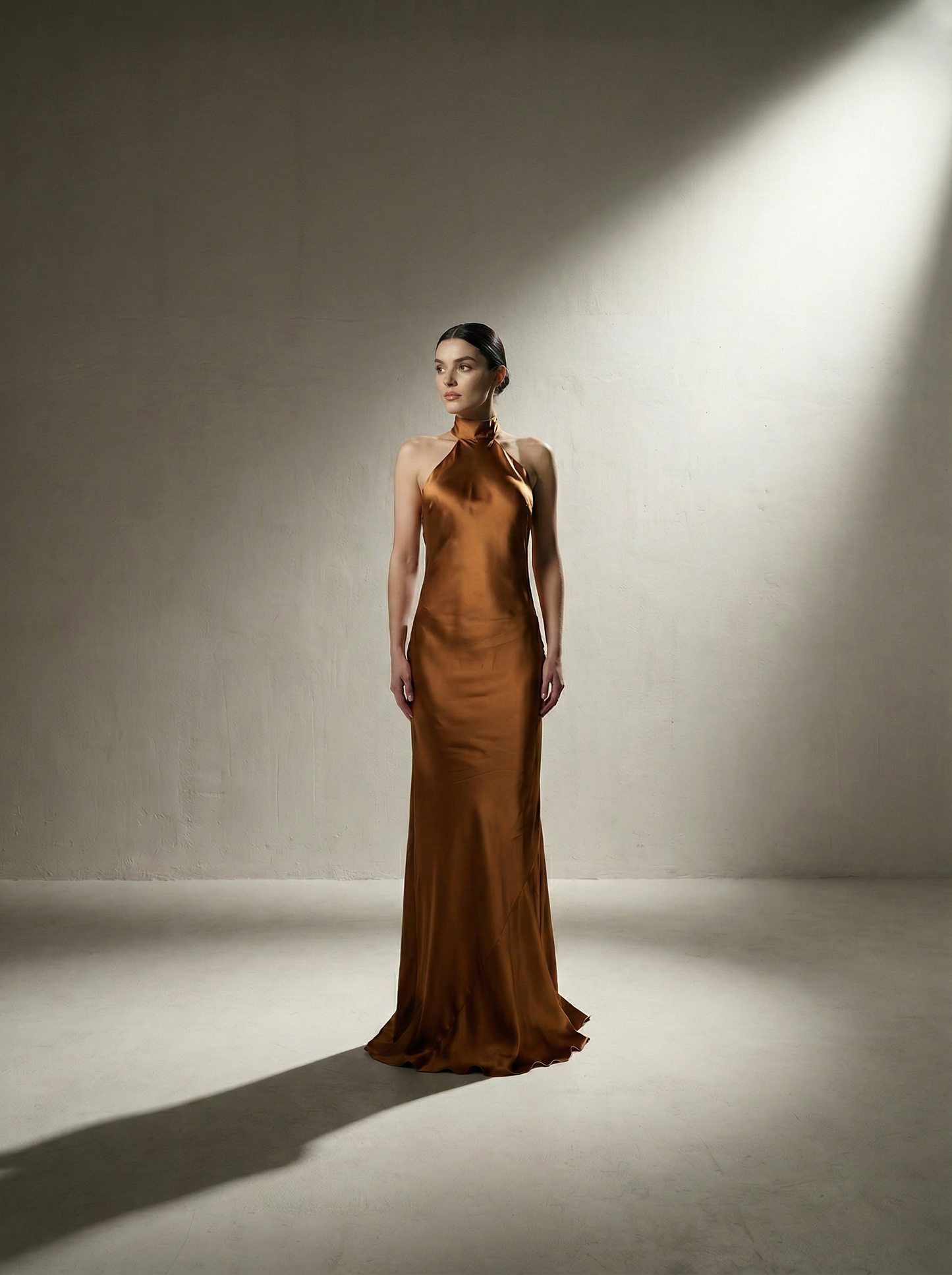Silk Halter Neck Gown