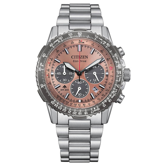 Stainless Steel Promaster Sky Quartz Watch
