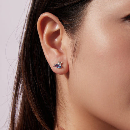 Sterling Silver Cubic Zirconia Earrings