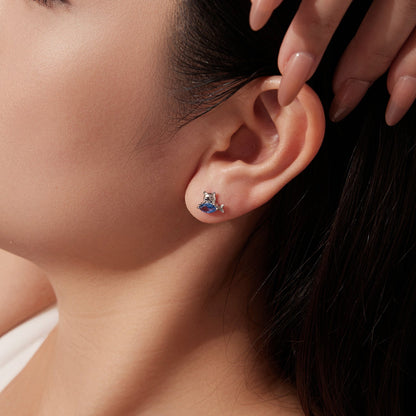 Sterling Silver Cubic Zirconia Earrings