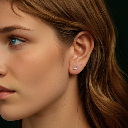 Sterling Silver Moissanite Earrings