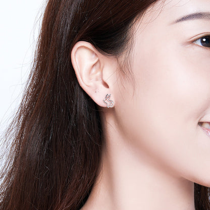 Sterling Silver Earrings