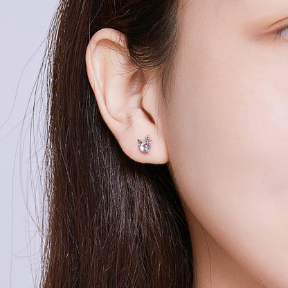 Sterling Silver Transparent Glass Earrings