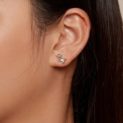 Sterling Silver Platinum Plated Earrings