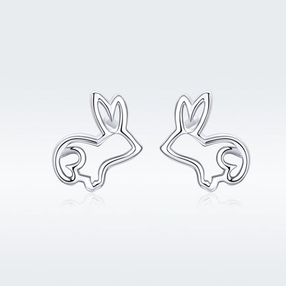 Sterling Silver Earrings