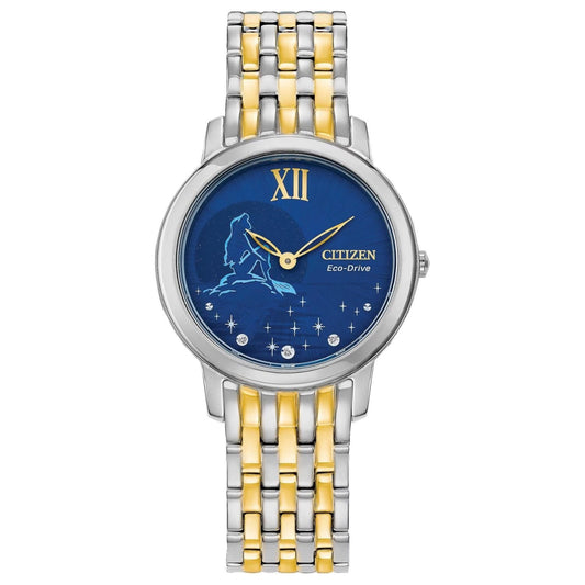 Two-Tone Stainless Steel Round Watch with Blue Dial